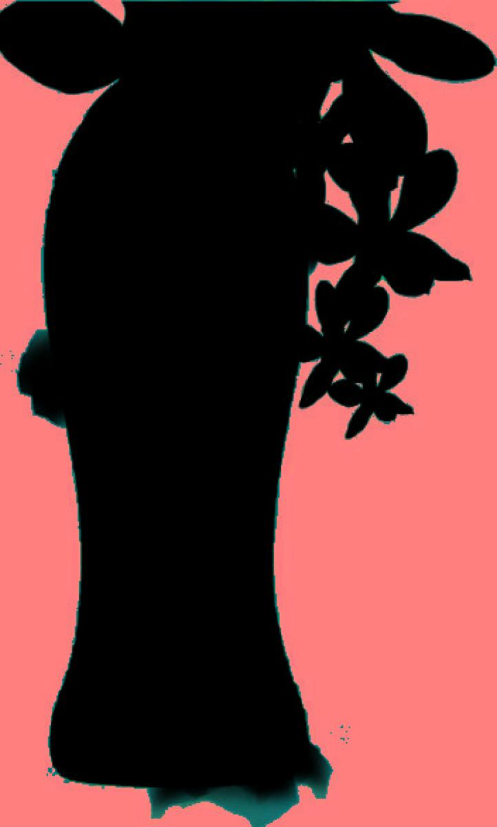 Body Wash Heavenly Vanilla