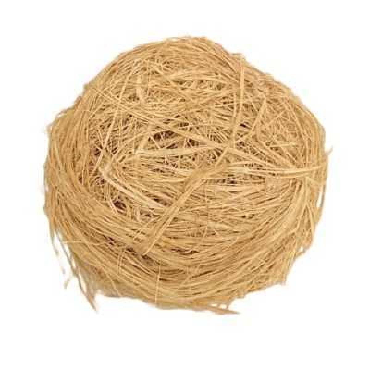 Koin Koin (Native Sponge) x12