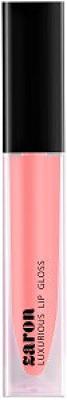 Luxurious Lip Gloss