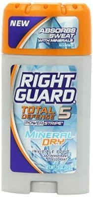 Deodorant Stick Total Defence