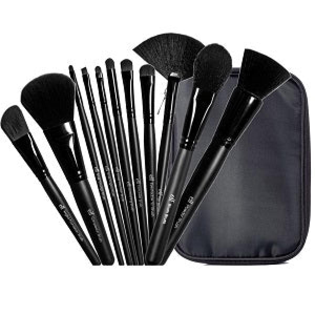 Studio Brush Collection x11