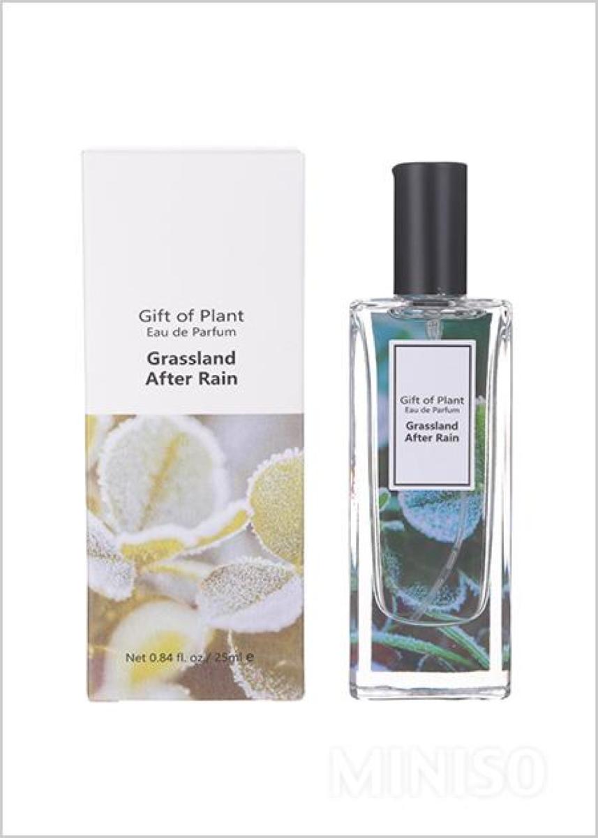 Gift Of Plant Grassland After Rain EDP