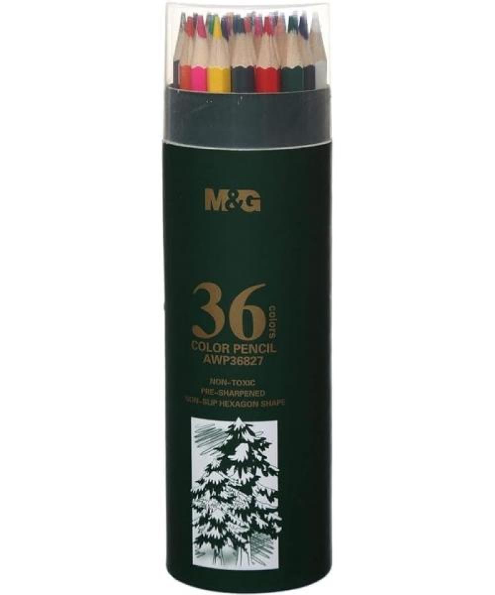Hexagon Colour Pencil Oil-Based 36 Colours