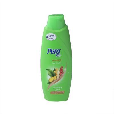 Ginger Shampoo For Weak & Brittle Hair