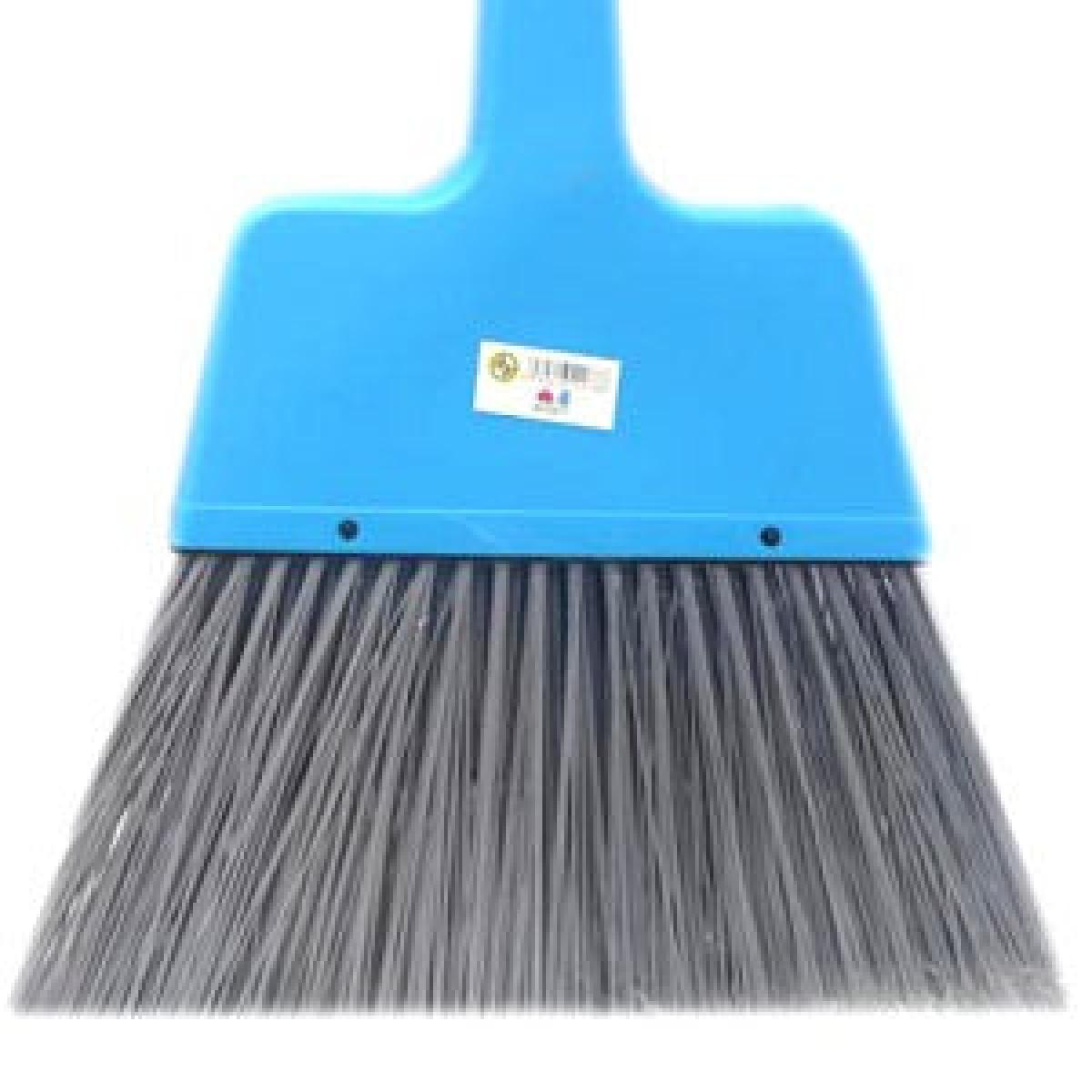 American Broom