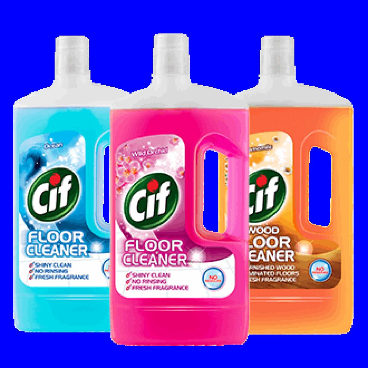 Floor Cleaner Assorted
