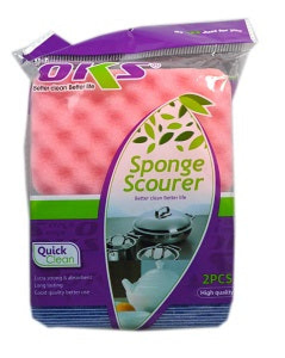 Sponge Scourer x2
