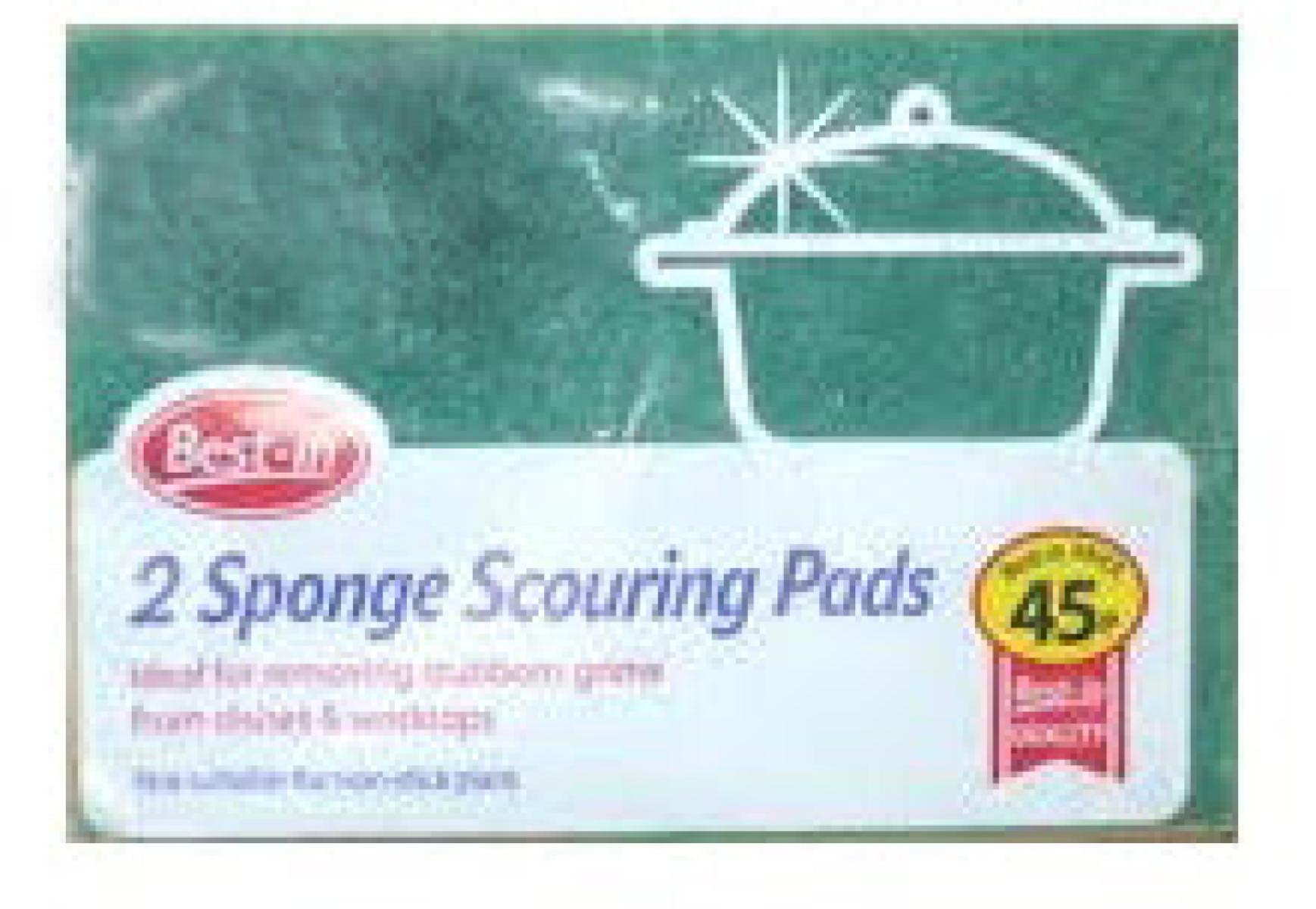Scouring Pads x2