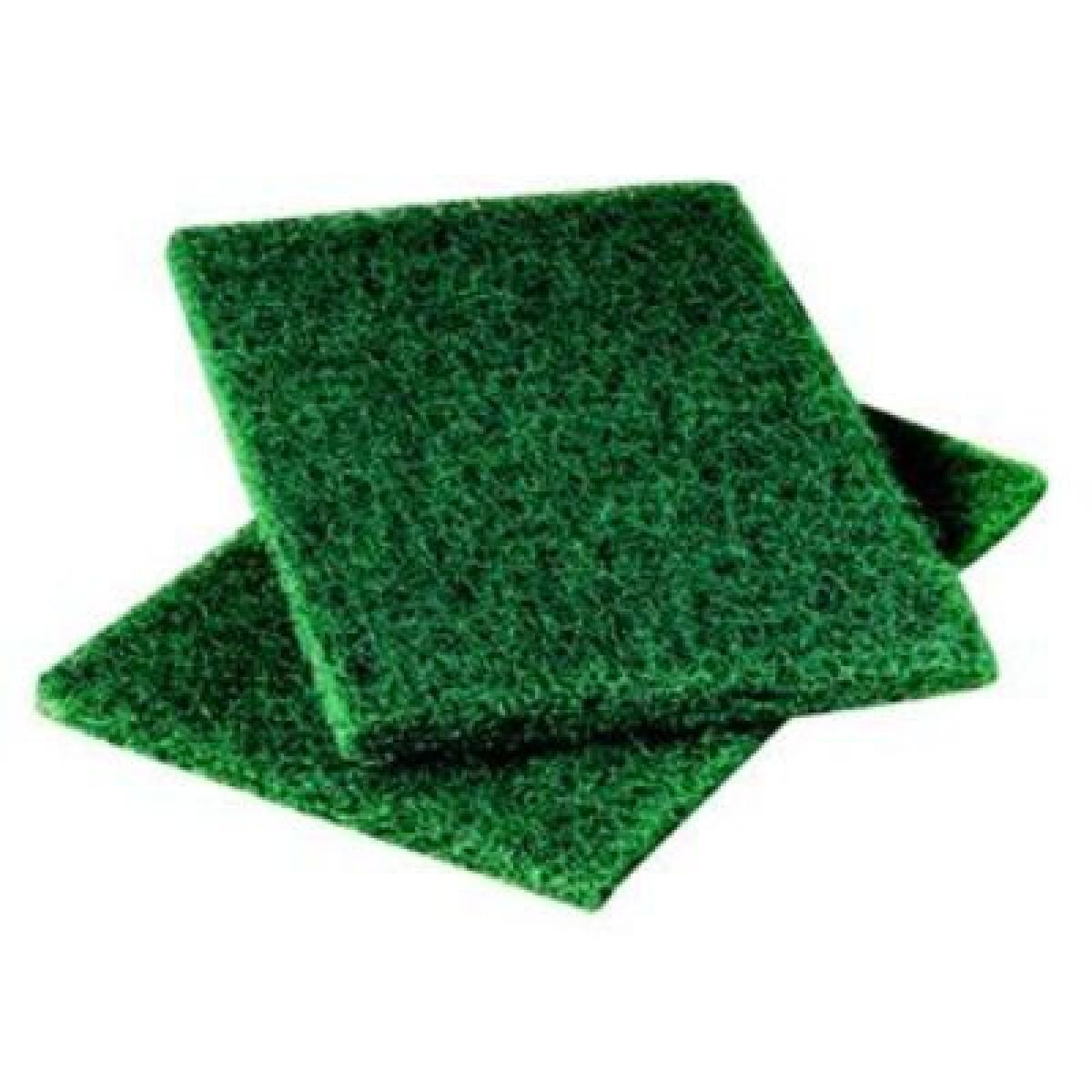 Twin Pack Scouring Pads