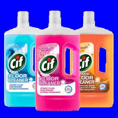 Floor Cleaner Assorted