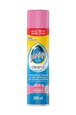 Clean It Multi-Surface Cleaner Spray 300 ml (Assorted)