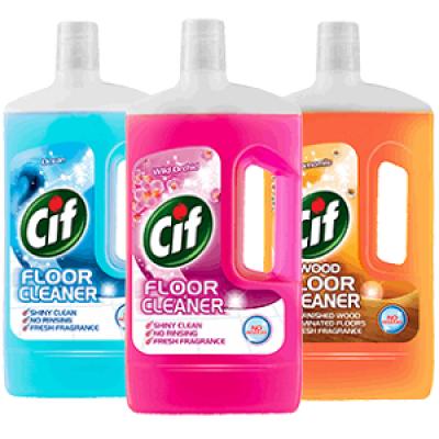 Floor Cleaner Assorted