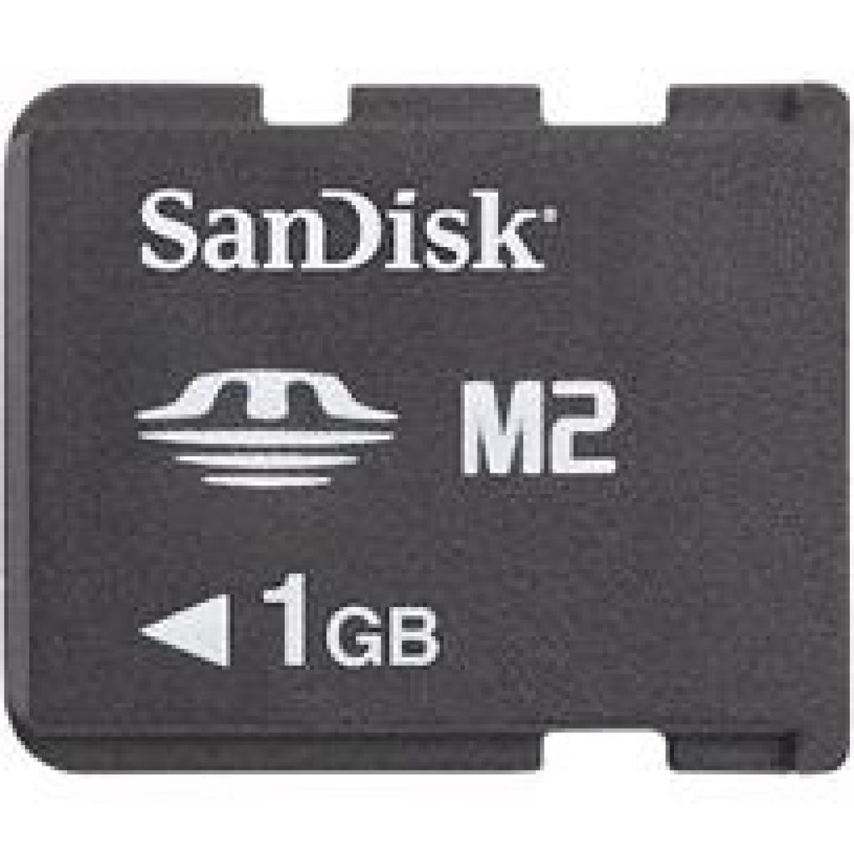 Memory Stick Micro 1 GB