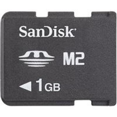 Memory Stick Micro 1 GB