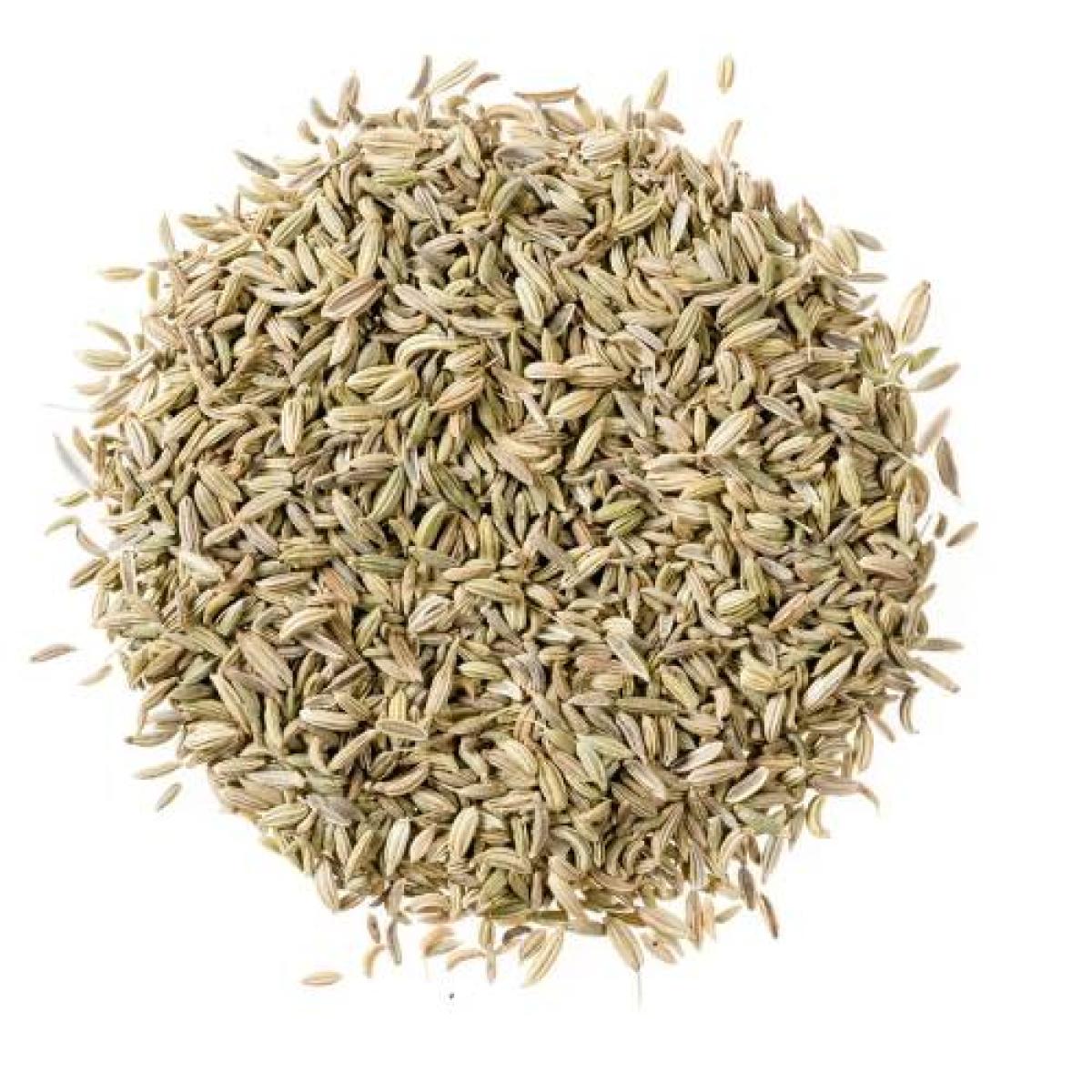 Fennel Seeds