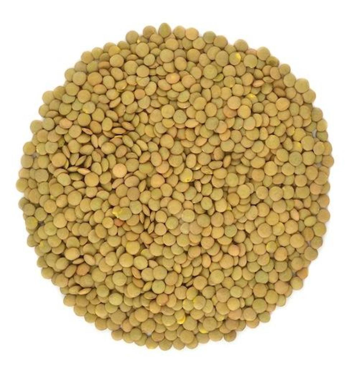 Green Lentils